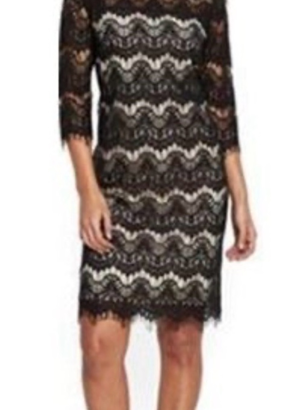 Wallis Black Lace Midi Dress with Ivory Lining